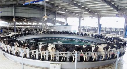 華中最大低溫乳制品工廠升級(jí),光明乳業(yè)數(shù)字化賦能全國(guó)化戰(zhàn)略落地